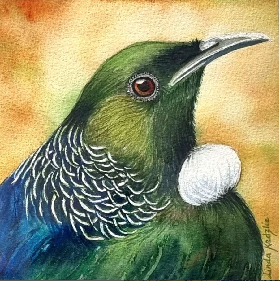 tui